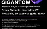 Cienie dawnych gigantów