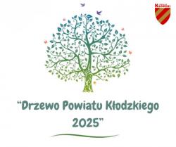 01drzewo1.jpg