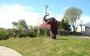 mamut.jpg